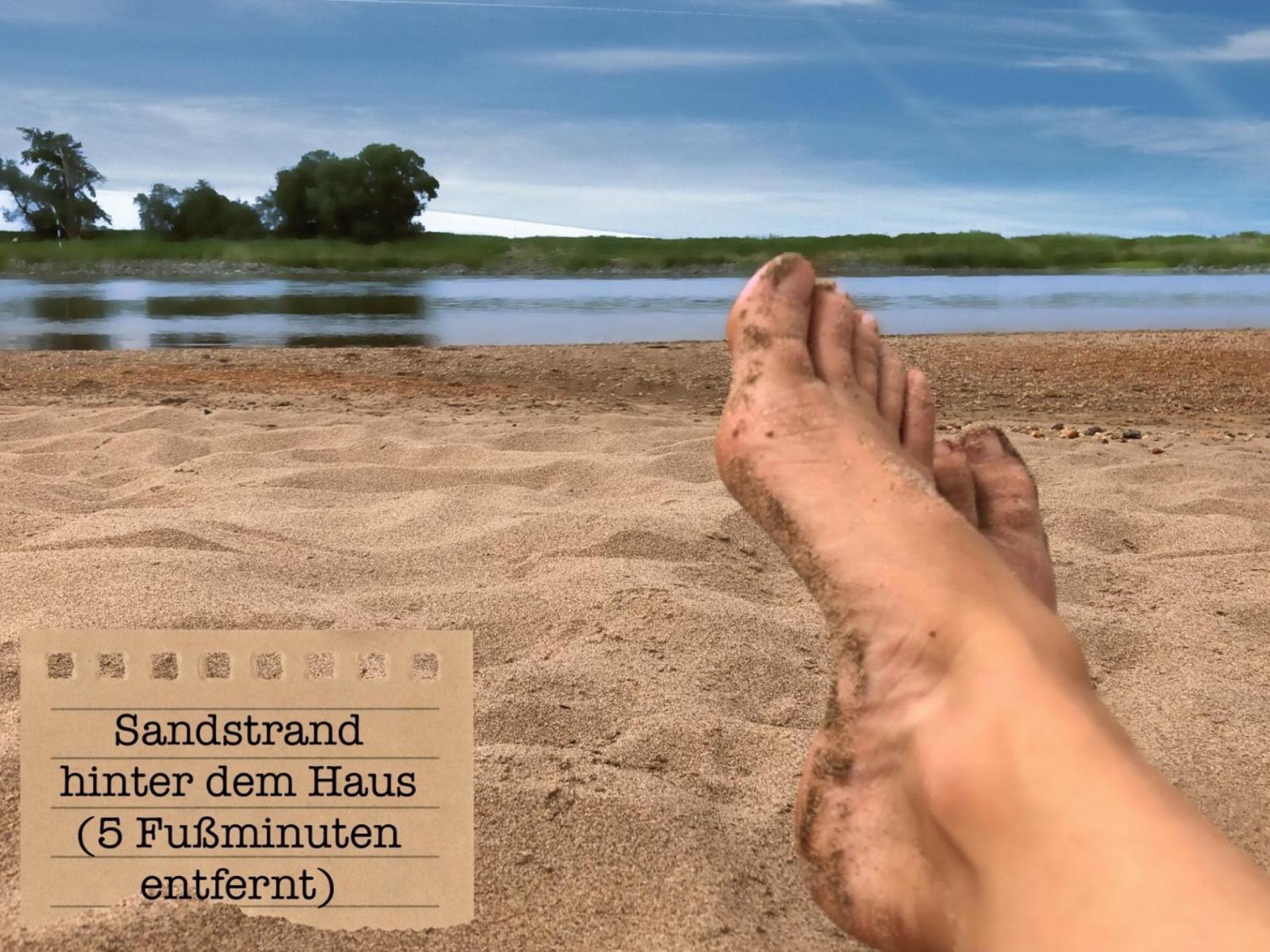 Alte Schule Wittenberg, 3 Ferienwohnungen Fuer Bis Zu 12 Personen, An Der Elbe, Mit Garten Екстериор снимка