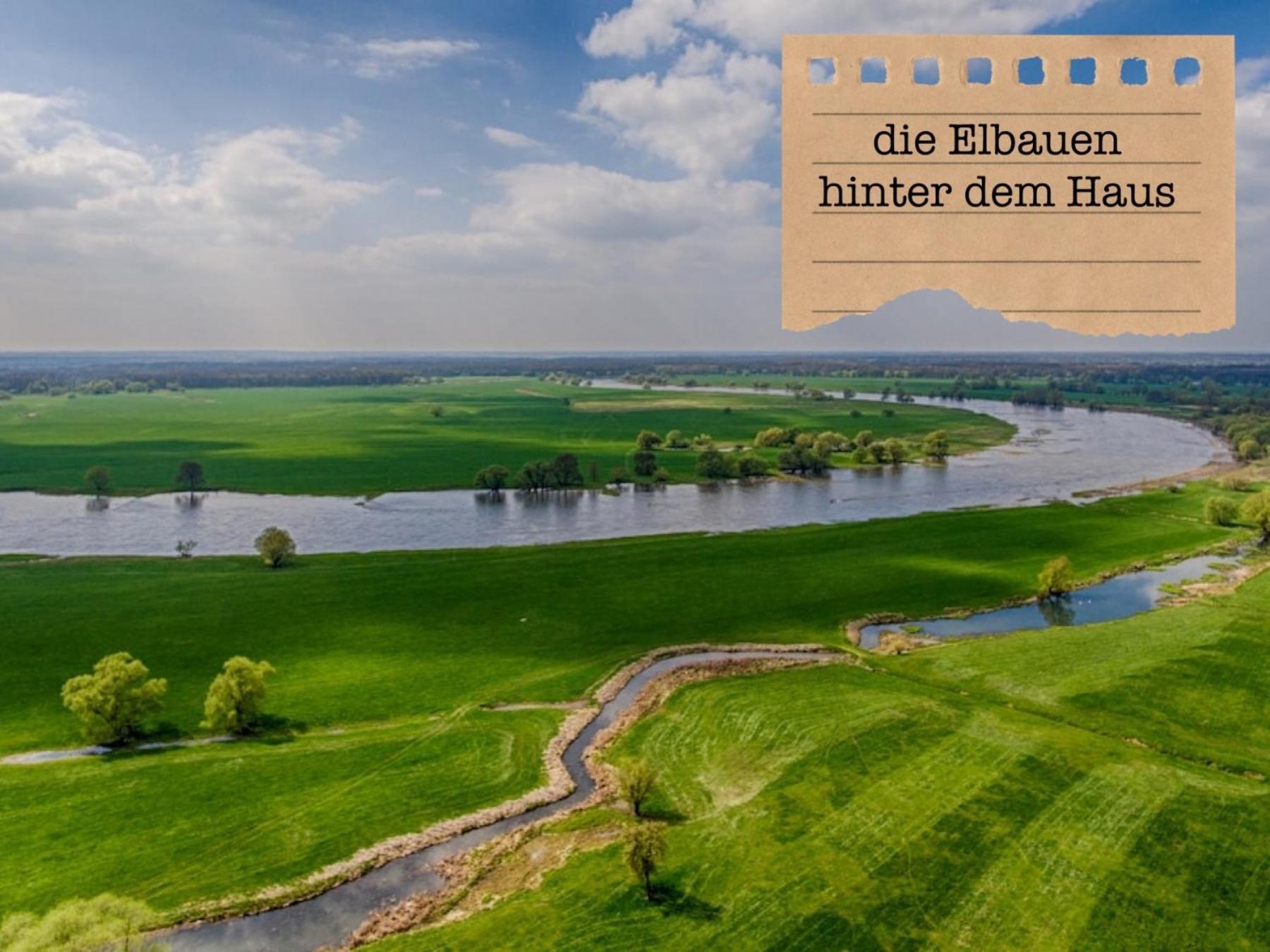 Alte Schule Wittenberg, 3 Ferienwohnungen Fuer Bis Zu 12 Personen, An Der Elbe, Mit Garten Екстериор снимка