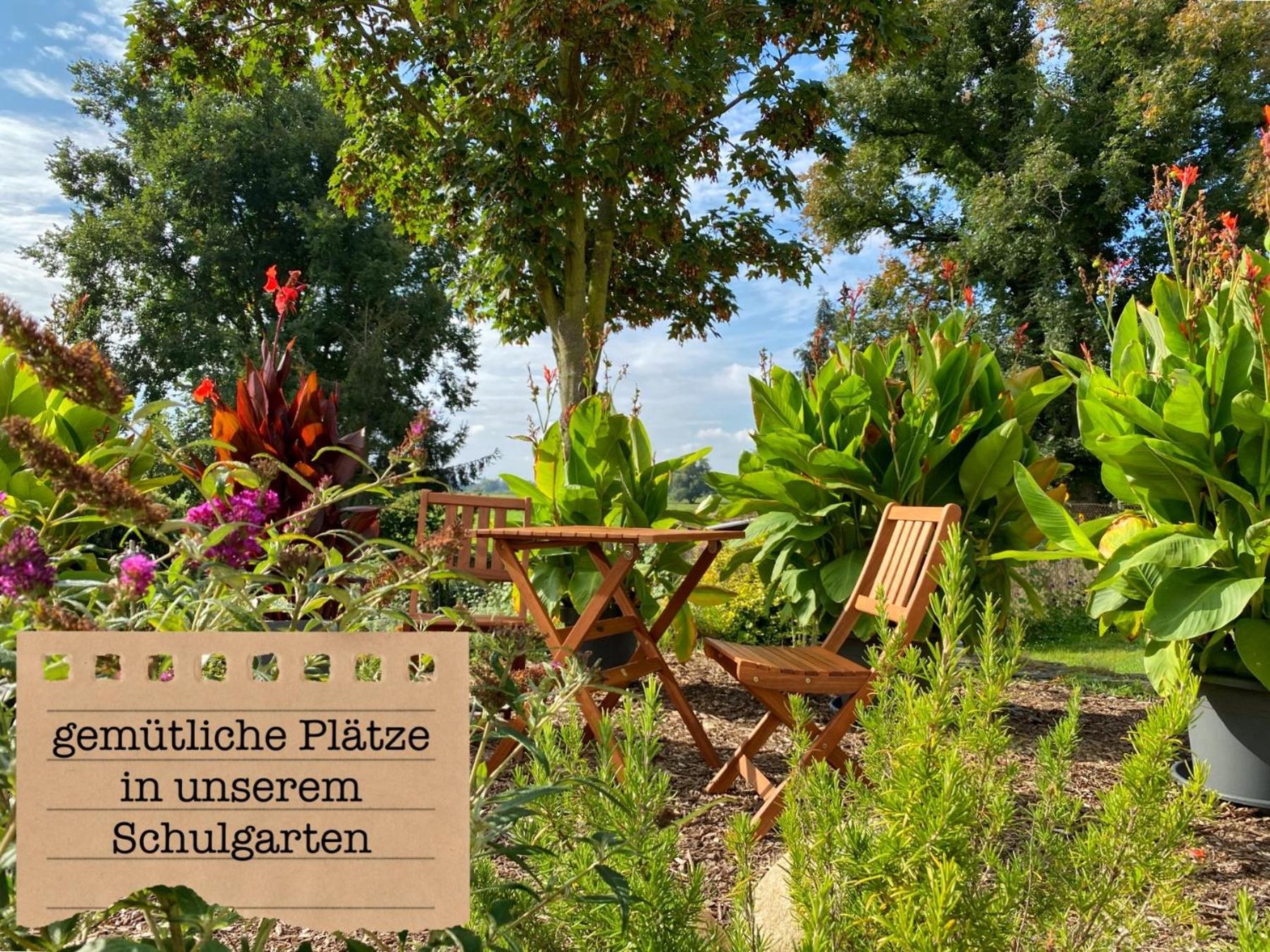 Alte Schule Wittenberg, 3 Ferienwohnungen Fuer Bis Zu 12 Personen, An Der Elbe, Mit Garten Екстериор снимка