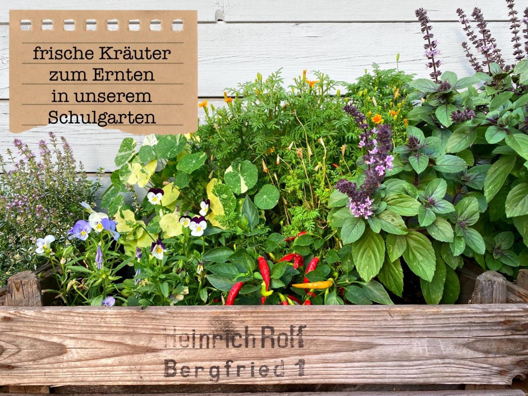 Alte Schule Wittenberg, 3 Ferienwohnungen Fuer Bis Zu 12 Personen, An Der Elbe, Mit Garten Екстериор снимка