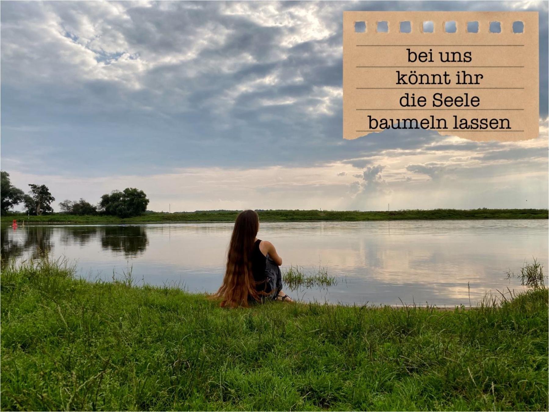 Alte Schule Wittenberg, 3 Ferienwohnungen Fuer Bis Zu 12 Personen, An Der Elbe, Mit Garten Екстериор снимка