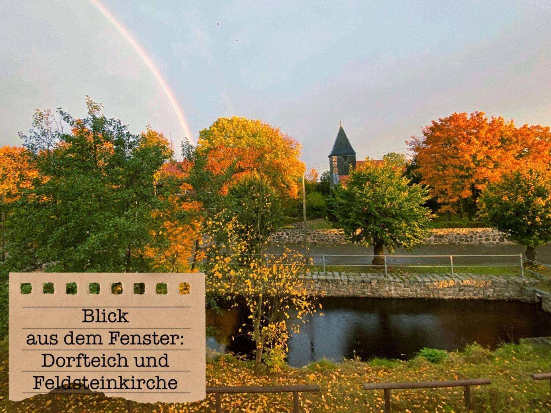 Alte Schule Wittenberg, 3 Ferienwohnungen Fuer Bis Zu 12 Personen, An Der Elbe, Mit Garten Екстериор снимка