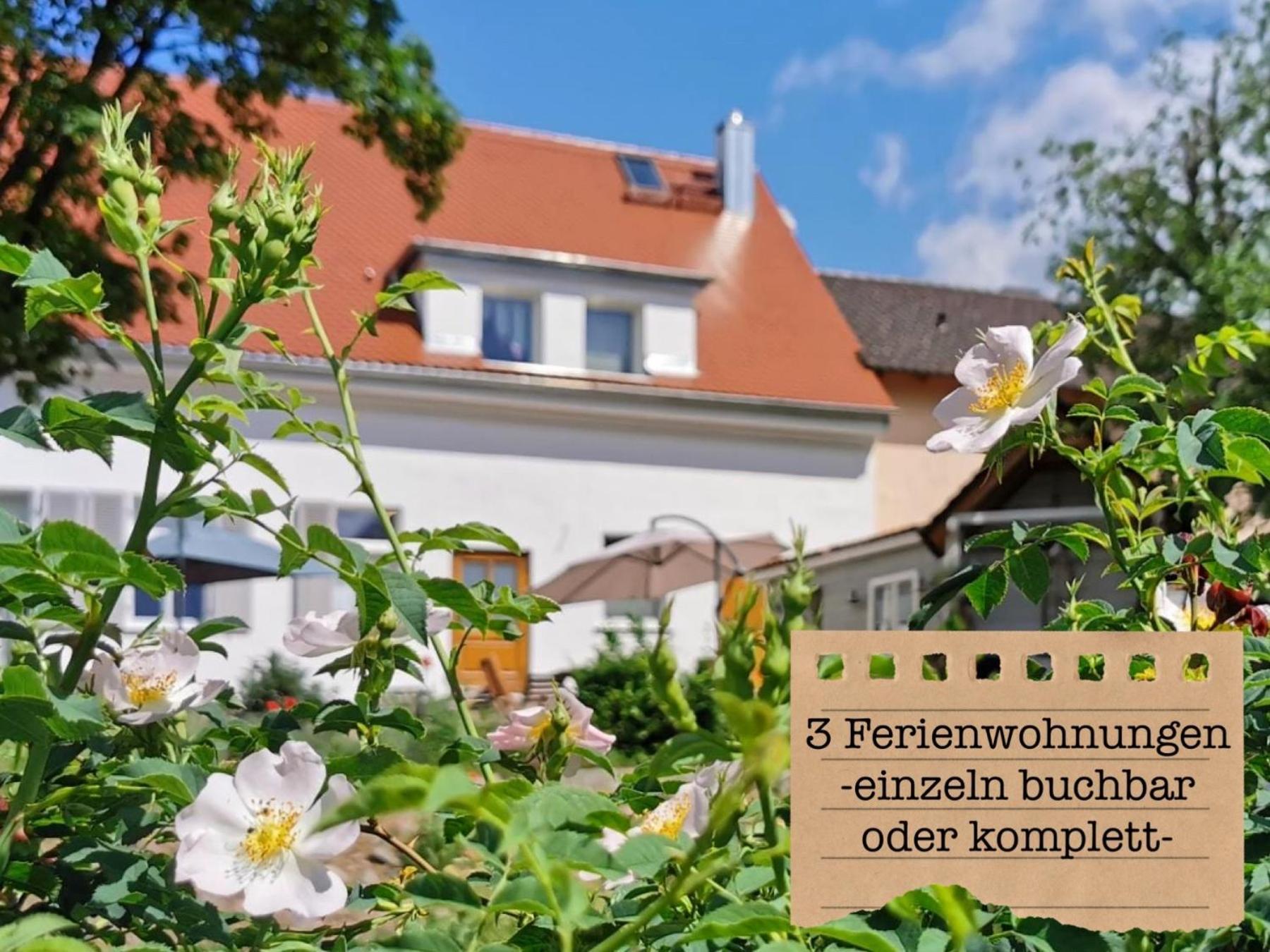 Alte Schule Wittenberg, 3 Ferienwohnungen Fuer Bis Zu 12 Personen, An Der Elbe, Mit Garten Екстериор снимка