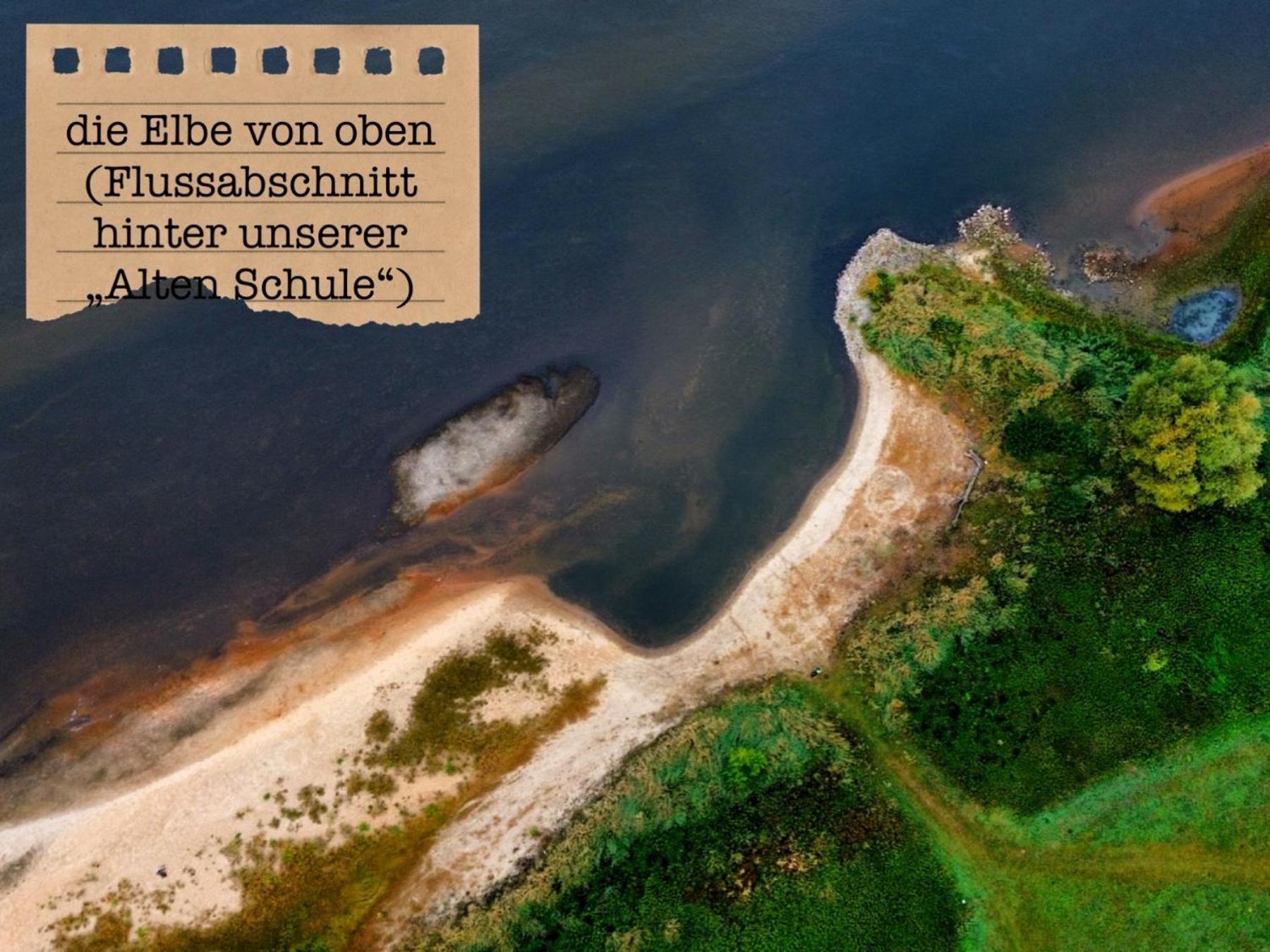 Alte Schule Wittenberg, 3 Ferienwohnungen Fuer Bis Zu 12 Personen, An Der Elbe, Mit Garten Екстериор снимка