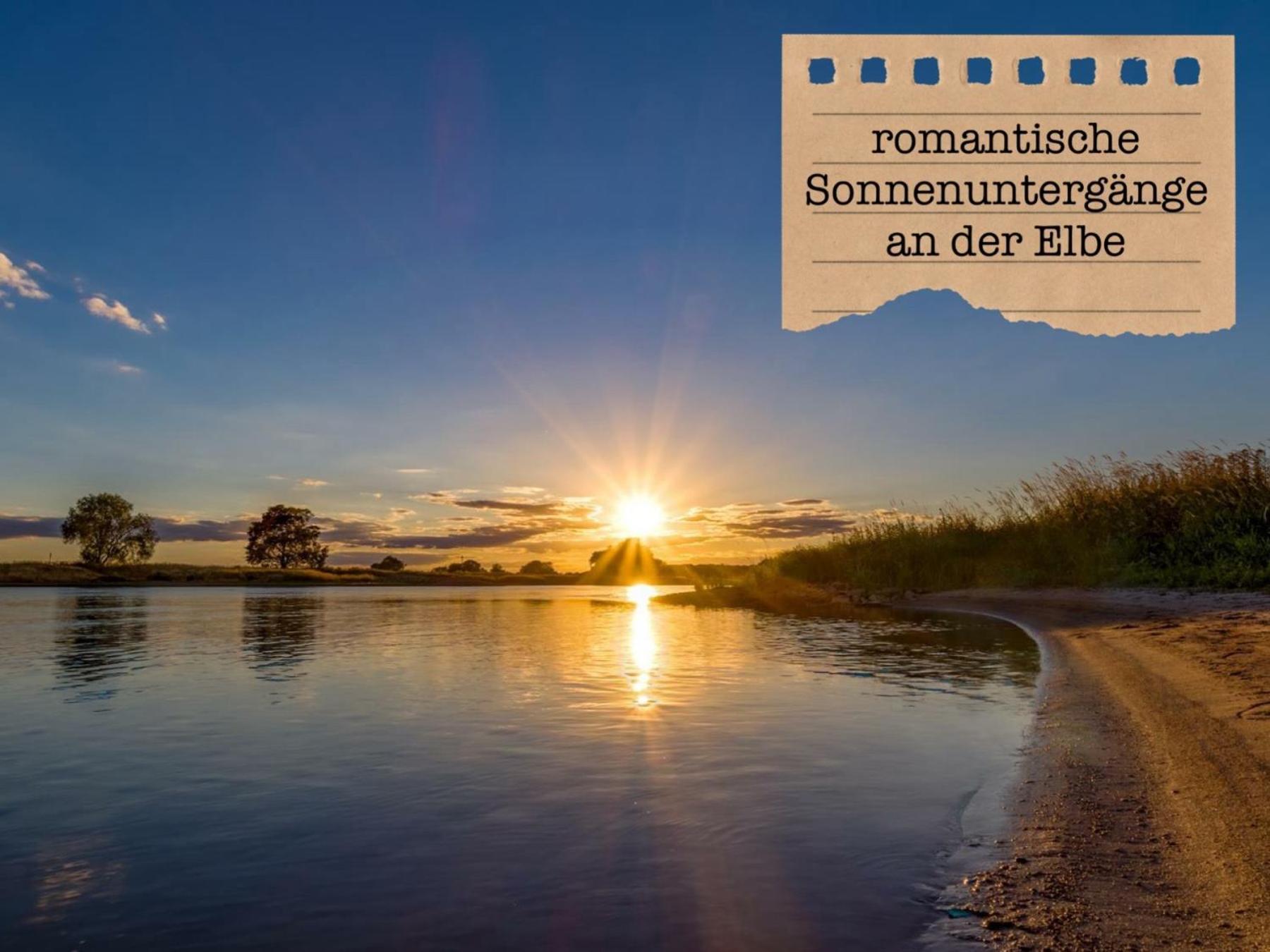 Alte Schule Wittenberg, 3 Ferienwohnungen Fuer Bis Zu 12 Personen, An Der Elbe, Mit Garten Екстериор снимка