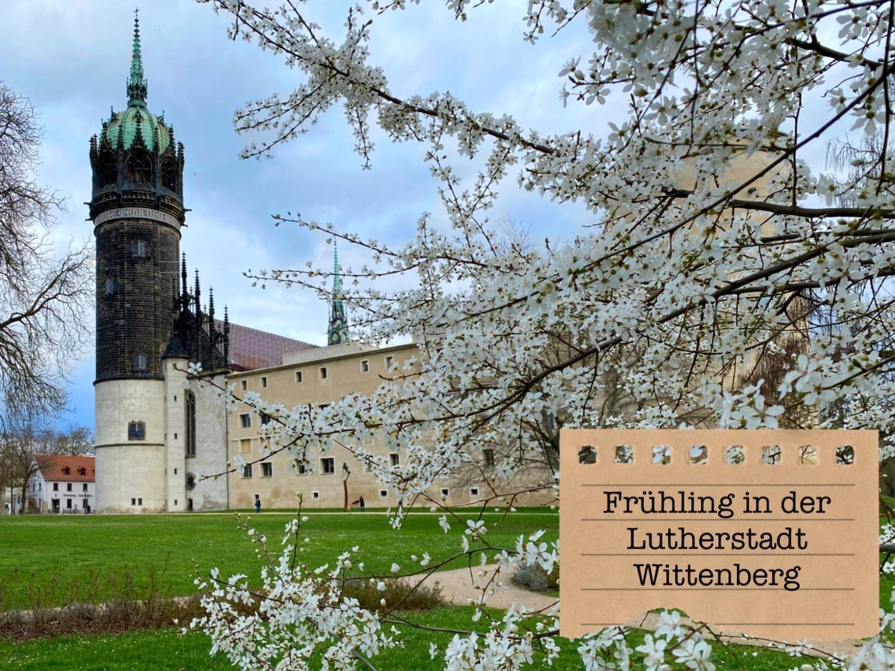 Alte Schule Wittenberg, 3 Ferienwohnungen Fuer Bis Zu 12 Personen, An Der Elbe, Mit Garten Екстериор снимка