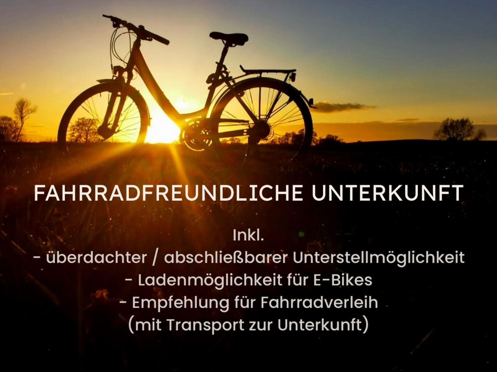 Alte Schule Wittenberg, 3 Ferienwohnungen Fuer Bis Zu 12 Personen, An Der Elbe, Mit Garten Екстериор снимка